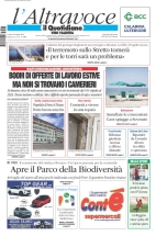 vibovalentia