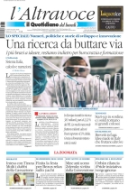quotidianodelsud