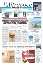 cosenza