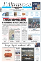 cosenza